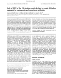 Báo cáo khoa học: Role of CCP2 of the C4b-binding protein b-chain in protein S binding evaluated by mutagenesis and monoclonal antibodies