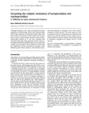 Báo cáo khoa học: Unraveling the catalytic mechanism of lactoperoxidase and myeloperoxidase A reﬂection on some controversial features Elena Ghibaudi and Enzo Laurenti