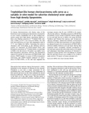 Báo cáo khoa học: Trophoblast-like human choriocarcinoma cells serve as a suitable in vitro model for selective cholesteryl ester uptake from high density lipoproteins