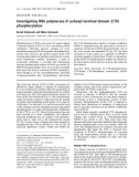 Báo cáo khoa học: Investigating RNA polymerase II carboxyl-terminal domain (CTD) phosphorylation ˆ Benoıt Palancade and Olivier Bensaude