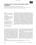 Báo cáo khoa học: A kinetic study of a ternary cycle between adenine nucleotides