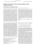 Báo cáo Y học: Oxidation of phenols by laccase and laccase-mediator systems