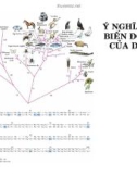 Ý nghĩa sự biến động của DNA