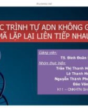 Tiểu luận: Các trình tự ADN không ghi mã lặp lại liên tiếp nhau