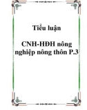 Tiểu luận CNH-HĐH nông nghiệp nông thôn P.3