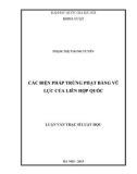 Luận văn Thạc sĩ Luật học: Các biện pháp trừng phạt bằng vũ lực của Liên Hiệp Quốc