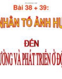 Bài giảng Sinh học lớp 11 bài 38 + 39: Các nhân tố ảnh hưởng đến sự sinh trưởng và phát triển của động vật