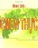 Bài giảng Sinh học lớp 11 bài 35: Hoocmon thực vật