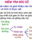 Bài giảng Sinh học lớp 11 bài 42: Sinh sản hữu tính ở thực vật