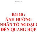 Bài giảng Sinh học lớp 11 bài 10: Ảnh hưởng của nhân tố ngoại cảnh đến quang hợp