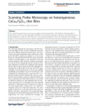 Báo cáo hóa học: Scanning Probe Microscopy on heterogeneous CaCu3Ti4O12 thin films