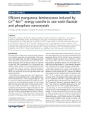 Báo cáo hóa học: Efficient manganese luminescence induced by Ce3+-Mn2+ energy transfer in rare earth fluoride and phosphate nanocrystals