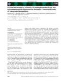 Báo cáo khoa học: Crystal structure of a family 16 endoglucanase from the hyperthermophile Pyrococcus furiosus – structural basis of substrate recognition