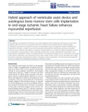 Báo cáo hóa học: Hybrid approach of ventricular assist device and autologous bone marrow stem cells implantation in end-stage ischemic heart failure enhances myocardial reperfusion