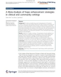 Báo cáo hóa học: A Meta-Analysis of hope enhancement strategies in clinical and community settings