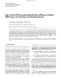 Báo cáo hóa học: Supervised Self-Organizing Classiﬁcation of Superresolution ISAR Images: An Anechoic Chamber Experiment