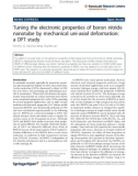 Báo cáo hóa học: Tuning the electronic properties of boron nitride nanotube by mechanical uni-axial deformation: a DFT study