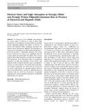 Báo cáo hóa học: Electron States and Light Absorption in Strongly Oblate and Strongly Prolate Ellipsoidal Quantum Dots in Presence of Electrical and Magnetic Fields