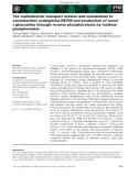 Báo cáo khoa học: The maltodextrin transport system and metabolism in Lactobacillus acidophilus NCFM and production of novel a-glucosides through reverse phosphorolysis by maltose phosphorylase