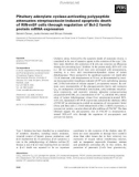 Báo cáo khoa học: Pituitary adenylate cyclase-activating polypeptide attenuates streptozotocin-induced apoptotic death of RIN-m5F cells through regulation of Bcl-2 family protein mRNA expression