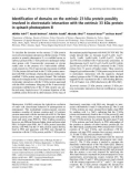 Báo cáo khóa học: Identiﬁcation of domains on the extrinsic 23 kDa protein possibly involved in electrostatic interaction with the extrinsic 33 kDa protein in spinach photosystem II