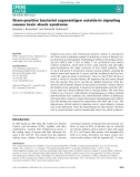 Báo cáo khoa học: Gram-positive bacterial superantigen outside-in signaling causes toxic shock syndrome