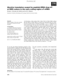 Báo cáo khoa học: Abortive translation caused by peptidyl-tRNA drop-off at NGG codons in the early coding region of mRNA