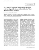 Báo cáo khoa học: An Unusual Congenital Malformation in a Calf with Serological Evidence of Foetal Bovine Viral Diarrhoea Virus Infection