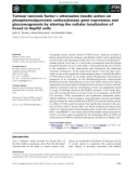 Báo cáo khoa học: Tumour necrosis factor-a attenuates insulin action on phosphoenolpyruvate carboxykinase gene expression and gluconeogenesis by altering the cellular localization of Foxa2 in HepG2 cells