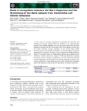 Báo cáo khoa học: Basis of recognition between the NarJ chaperone and the N-terminus of the NarG subunit from Escherichia coli nitrate reductase