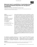 Báo cáo khoa học: Molecular basis for speciﬁcities of reactivating factors for adenosylcobalamin-dependent diol and glycerol dehydratases