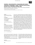 Báo cáo khoa học: Isolation, characterization, sequencing and crystal structure of charybdin, a type 1 ribosome-inactivating protein from Charybdis maritima agg.