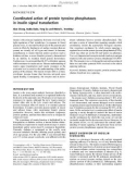 Báo cáo Y học: Coordinated action of protein tyrosine phosphatases in insulin signal transduction