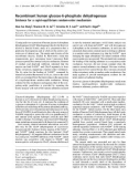 Báo cáo Y học: Recombinant human glucose-6-phosphate dehydrogenase Evidence for a rapid-equilibrium random-order mechanism