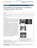 Báo cáo hóa học: Pneumothorax and subcutaneous emphysema secondary to blunt chest injury