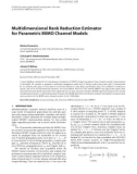 Báo cáo hóa học: Multidimensional Rank Reduction Estimator for Parametric MIMO Channel Models