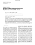 Báo cáo hóa học: Research Article Breaking the BOWS Watermarking System: Key Guessing and Sensitivity Attacks