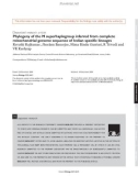 Báo cáo y học: Phylogeny of the M superhaplogroup inferred from complete mitochondrial genome sequence of Indian specific lineages