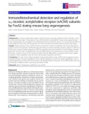 Báo cáo y học: Immunohistochemical detection and regulation of a5 nicotinic acetylcholine receptor (nAChR) subunits by FoxA2 during mouse lung organogenesis