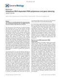 Báo cáo y học: Ubiquitous RNA-dependent RNA polymerase and gene silencing