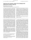 Báo cáo Y học: Engineering and mechanistic studies of the Arabidopsis FAE1 b-ketoacyl-CoA synthase, FAE1 KCS