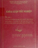 Khóa luận tốt nghiệp: Phương án kinh doanh xuất khẩu mặt hàng khăn bông của công ty dệt may 29/3 và một số kiến nghị nhằm thâm nhập thị trường Pháp