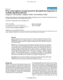 Báo cáo y học: Erect wing regulates synaptic growth in Drosophila by integration of multiple signaling pathway