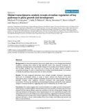 Báo cáo y học: Global transcriptome analysis reveals circadian regulation of key pathways in plant growth and development