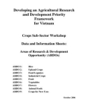 Báo cáo nghiên cứu khoa học Developing an Agricultural Research and Development Priority Framework for Vietnam Crops Sub-Sector Workshop 