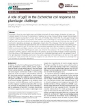 Báo cáo y học: A role of ygfZ in the Escherichia coli response to plumbagin challenge