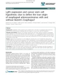 báo cáo khoa học: LgR5 expression and cancer stem cell hypothesis: clue to define the true origin of esophageal adenocarcinomas with and without Barrett's Esophagus?