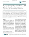 báo cáo khoa học: The expression and role of protein kinase C (PKC) epsilon in clear cell renal cell carcinoma