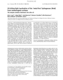 Báo cáo khóa học: UV-A/blue-light inactivation of the ‘metal-free' hydrogenase (Hmd) from methanogenic archaea The enzyme contains functional iron after all