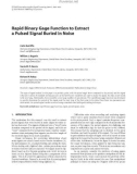 Báo cáo hóa học: Rapid Binary Gage Function to Extract a Pulsed Signal Buried in Noise